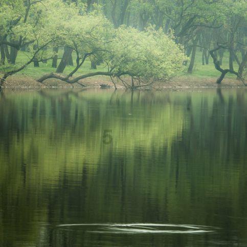董路说「贵州村超在国足中没有什么用处」，你认同吗？游戏画面