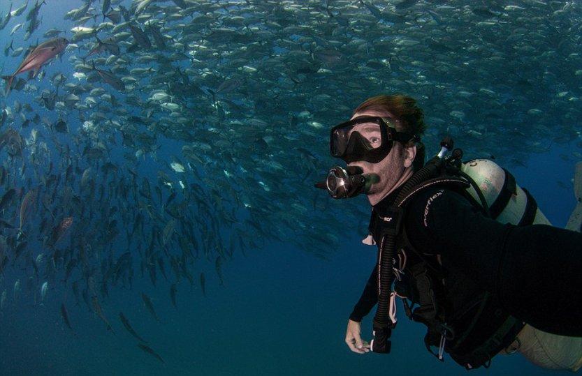 “龙经济”热度狂飙，联名周边炙手可热，海外订单激增